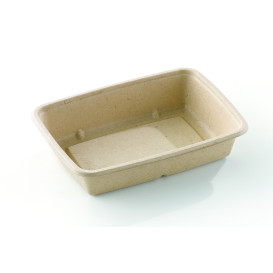 Suikerriet Container 950ml 23x16,5x5cm (300 stuks)