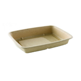 Suikerriet Container 950ml 23x16,5x5cm (300 stuks)