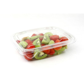 Plastic deli Container PET onverbrekelijk 600ml 18x14x4cm (65 stuks) 