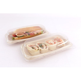 Suikerriet brood Container 20x10cm (50 stuks) 