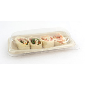 Suikerriet brood Container 20x10cm (50 stuks) 