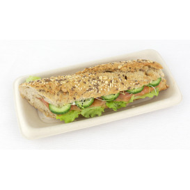 Suikerriet brood Container 24x11cm (100 stuks) 