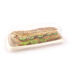 Suikerriet brood Container 24x11cm (100 stuks) 