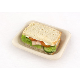 Suikerriet brood Container 14x11cm (50 stuks) 