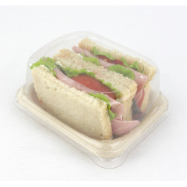 Suikerriet brood Container 14x11cm (50 stuks) 