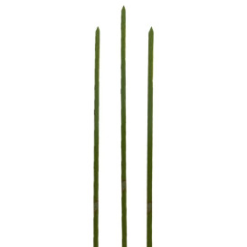 Bamboe vleespennen Naturel groen 18cm (200 stuks) 