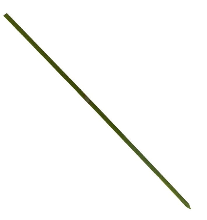 Bamboe vleespennen Naturel groen 18cm (200 stuks) 