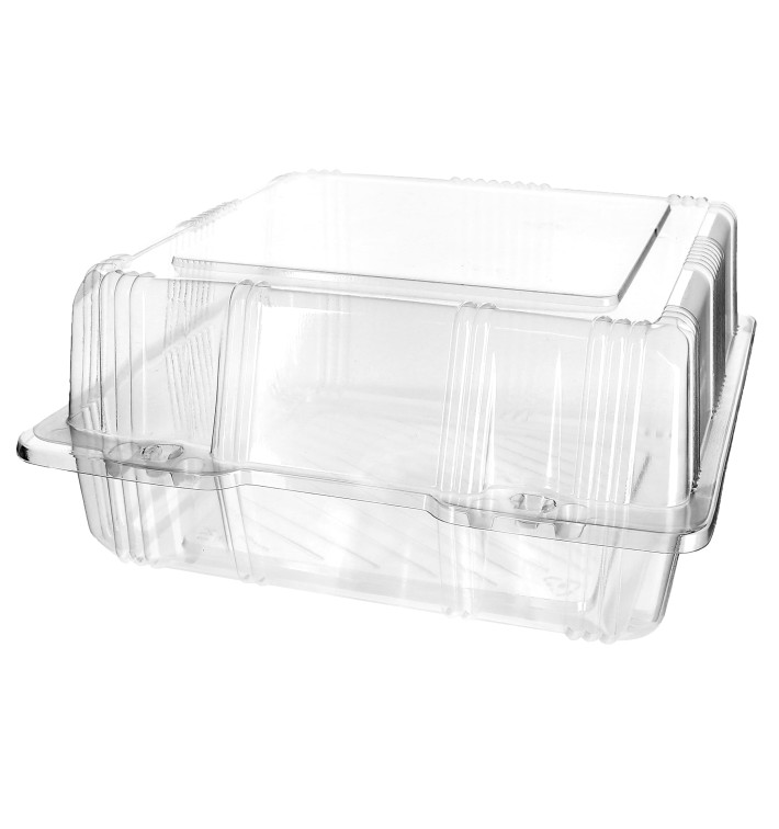 Plastic scharnierende bakkerij Container PET 20x20x10cm (20 stuks) 