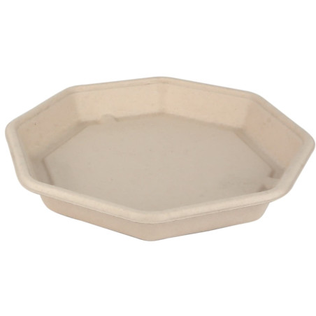 Suikerriet Container Achthoekig 830ml 23x23x3cm (300 stuks)