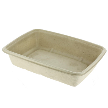 Suikerriet Container PLA gelamineerd 825ml 21x16x5cm (75 stuks) 