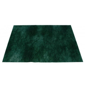 Novotex placemat groen 50g 35x50cm (500 stuks) 