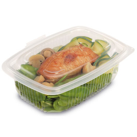 Plastic Container Microwave PP transparant 600ml 18,5x13,5cm (300 stuks)