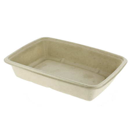 Suikerriet Container PLA gelamineerd 950ml 23x16,5x5cm (75 stuks) 