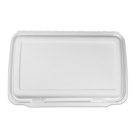 Suikerriet Gescharnierd Panini Container 3C 38x48,3x6,15cm (50 stuks) 