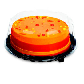 Plastic Cakeplak Container APET Zwart Ø28,5cm (120 Stuks)