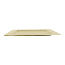 Suikerriet bord Gekerfd Naturel 20 cm (200 stuks)