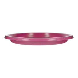 Herbruikbare Bord Economische PS Fuchsia Ø17cm (25 stuks) 