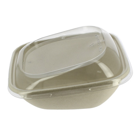 Suikerriet Container met Deksel 750ml 19x19x8cm (90 stuks)