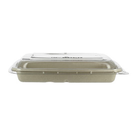 Suikerriet Container met Deksel 600ml 23x16x5cm (90 stuks)