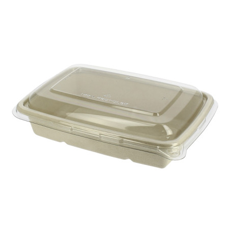 Suikerriet Container met Deksel 950ml 23x16x6cm (15 stuks)
