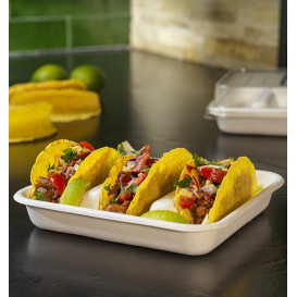 Bakje voor Suikerriet Taco's Wit 18,5x18,5cm (300 Stuks)