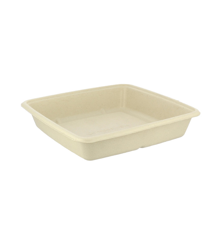 Suikerriet Container 1000ml 23x23x3cm (300 stuks)