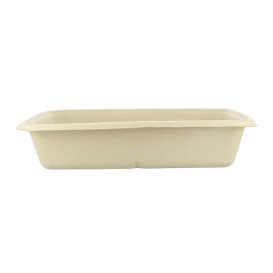 Suikerriet Container 1000ml 23x23x3cm (300 stuks)