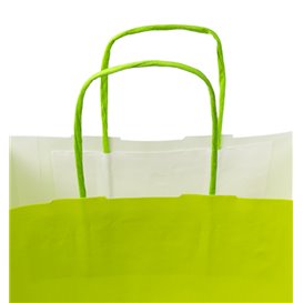 Papieren zak met handgrepen Groen 100g/m² 22+9x23cm (250 stuks)