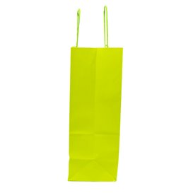 Papieren zak met handgrepen Groen 100g/m² 22+9x23cm (250 stuks)