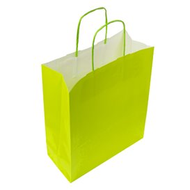 Papieren zak met handgrepen Groen 100g/m² 22+9x23cm (250 stuks)