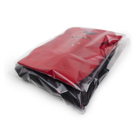 Plastic zakken zelfklevende flap CPP G160 35x45cm (1000 stuks)