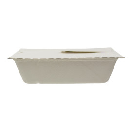 Pakket Suikerriet Box to Go 21x15x5cm 1000ml. (150 stuks)