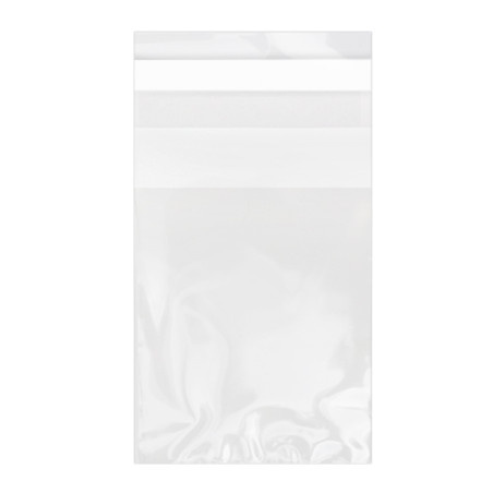 Plastic zak met Zelfklevende flap Cellofaan 6x8cm G-160 (100 stuks) 