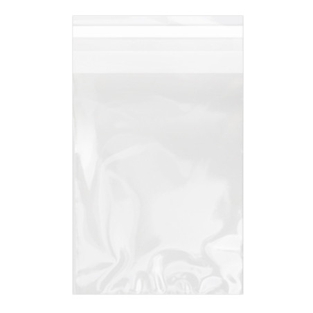 Plastic zak met Zelfklevende flap Cellofaan 11x16cm G-160 (100 stuks) 