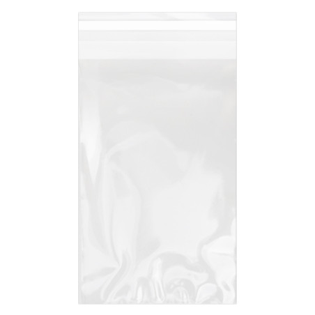 Plastic zak met Zelfklevende flap Cellofaan 12x18cm G-160 (1000 stuks)