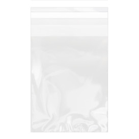 Plastic zak met Zelfklevende flap Cellofaan 15x22cm G-160 (1000 stuks)