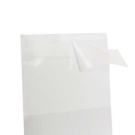 Plastic zak met Zelfklevende flap Cellofaan 5,5x5,5cm G-160 (100 stuks) 