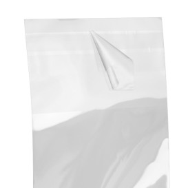 Plastic zak met Zelfklevende flap Cellofaan 6x8cm G-160 (100 stuks) 