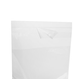 Plastic zak met Zelfklevende flap Cellofaan 10x15cm G-160 (1000 stuks)