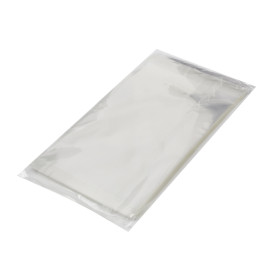 Plastic zak met Zelfklevende flap Cellofaan 10x15cm G-160 (100 stuks) 