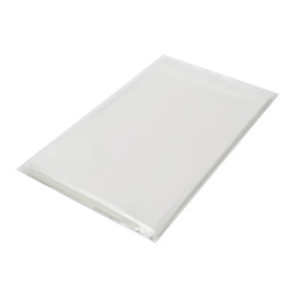 Plastic zak met Zelfklevende flap Cellofaan 15x22cm G-160 (100 stuks) 