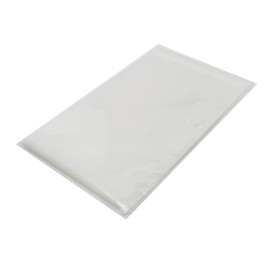 Plastic zak met Zelfklevende flap Cellofaan 22x32cm G-160 (1000 stuks)