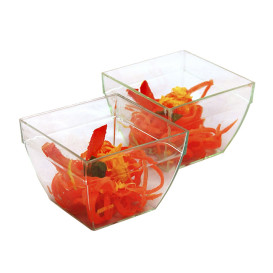 Fingerfood Schaaltje Vierkant PS 5,5x3,3x4cm 75ml (25 Stuks)