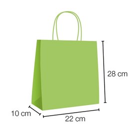 Papieren zak met handgrepen Groen 90g/m² 28+10x22 cm (250 stuks)