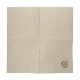 Papieren servet Eco-Vriendelijk Micropunt 2-laags 20x20cm (2.400 stuks) 